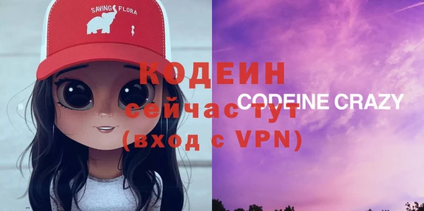 стафф Касимов