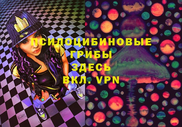 шишки Карпинск