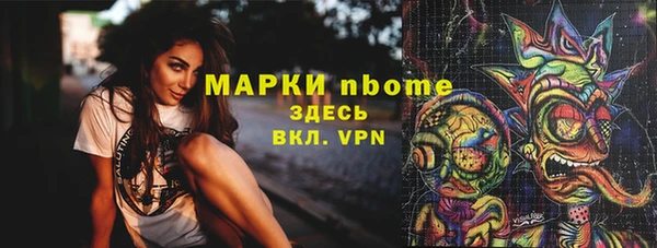амф Каменка