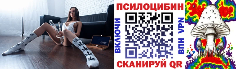 Псилоцибиновые грибы Psilocybe Купить где Балахна